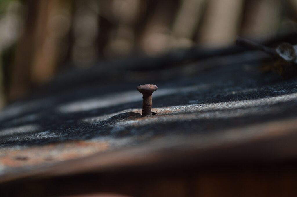 Rust Nail Old  - hiroshishi182 / Pixabay