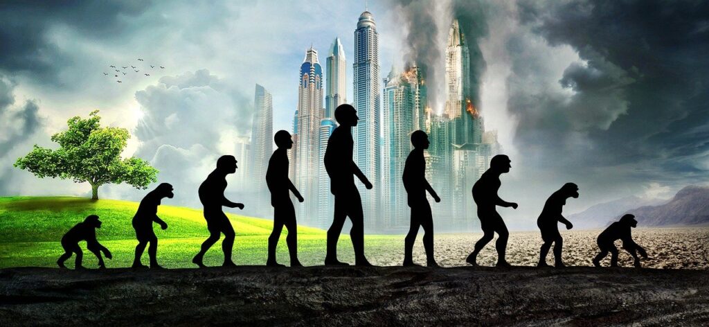 Evolution Human Ape Development  - KELLEPICS / Pixabay