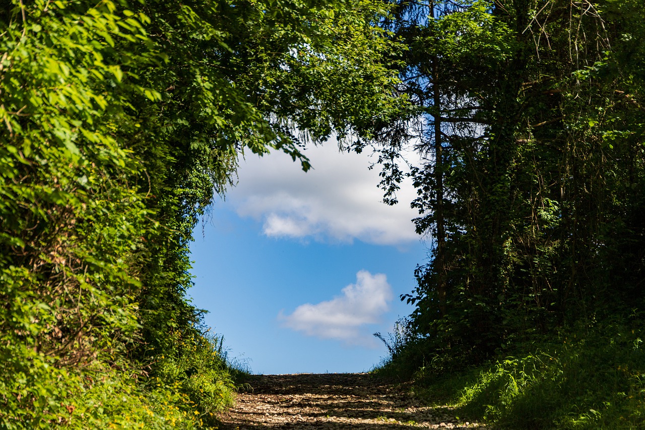 Passage Bright Spot Path Nature  - marcelkessler / Pixabay