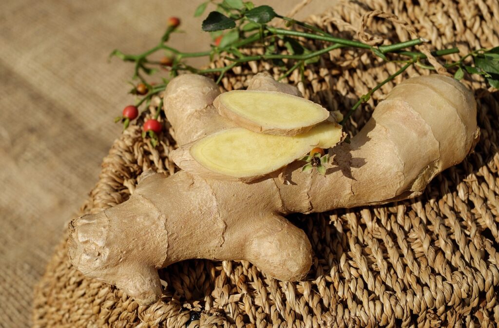 ginger ingber immerwurzel root 1738098