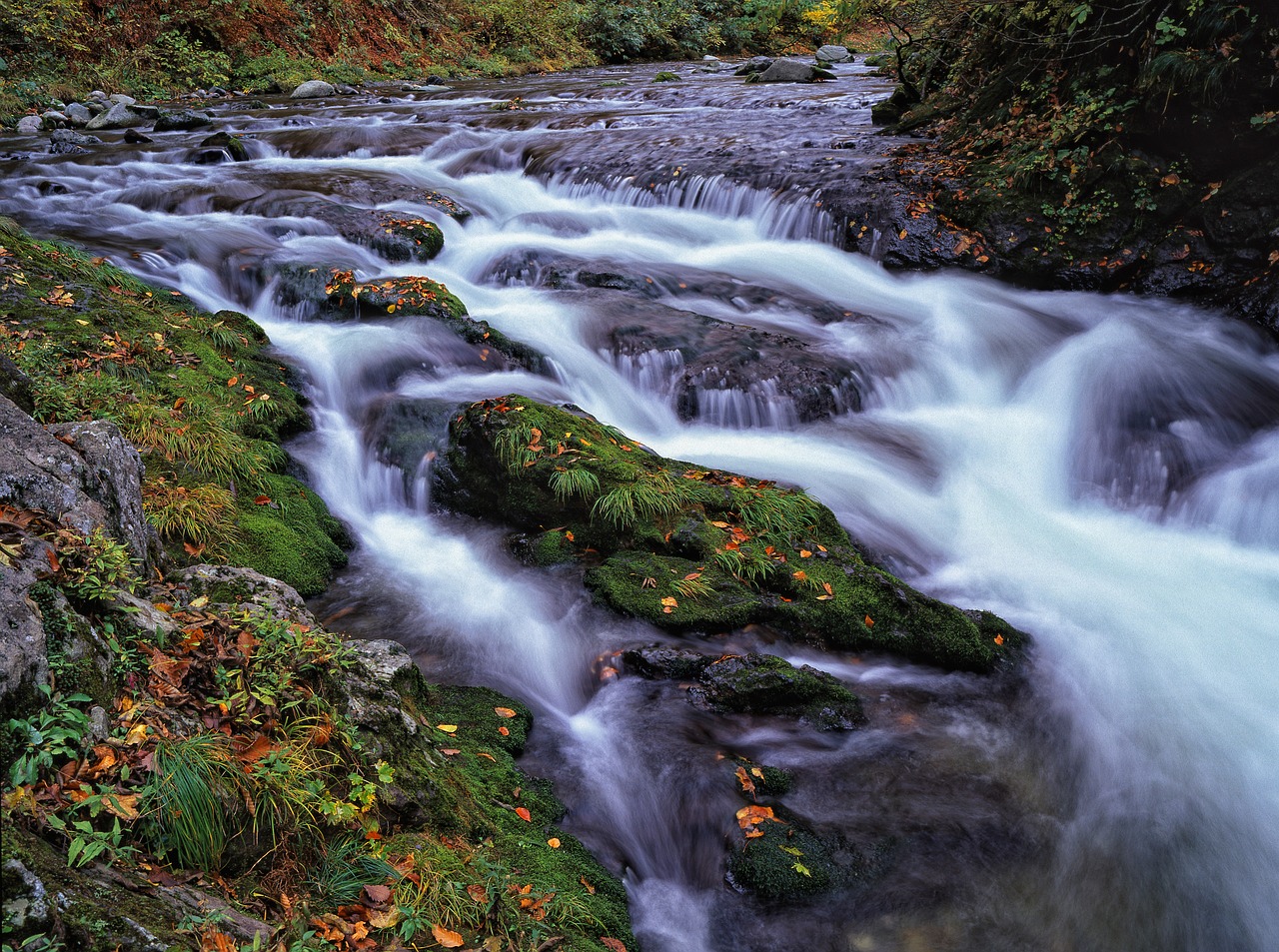 clear stream moss fallen leaves 2222878