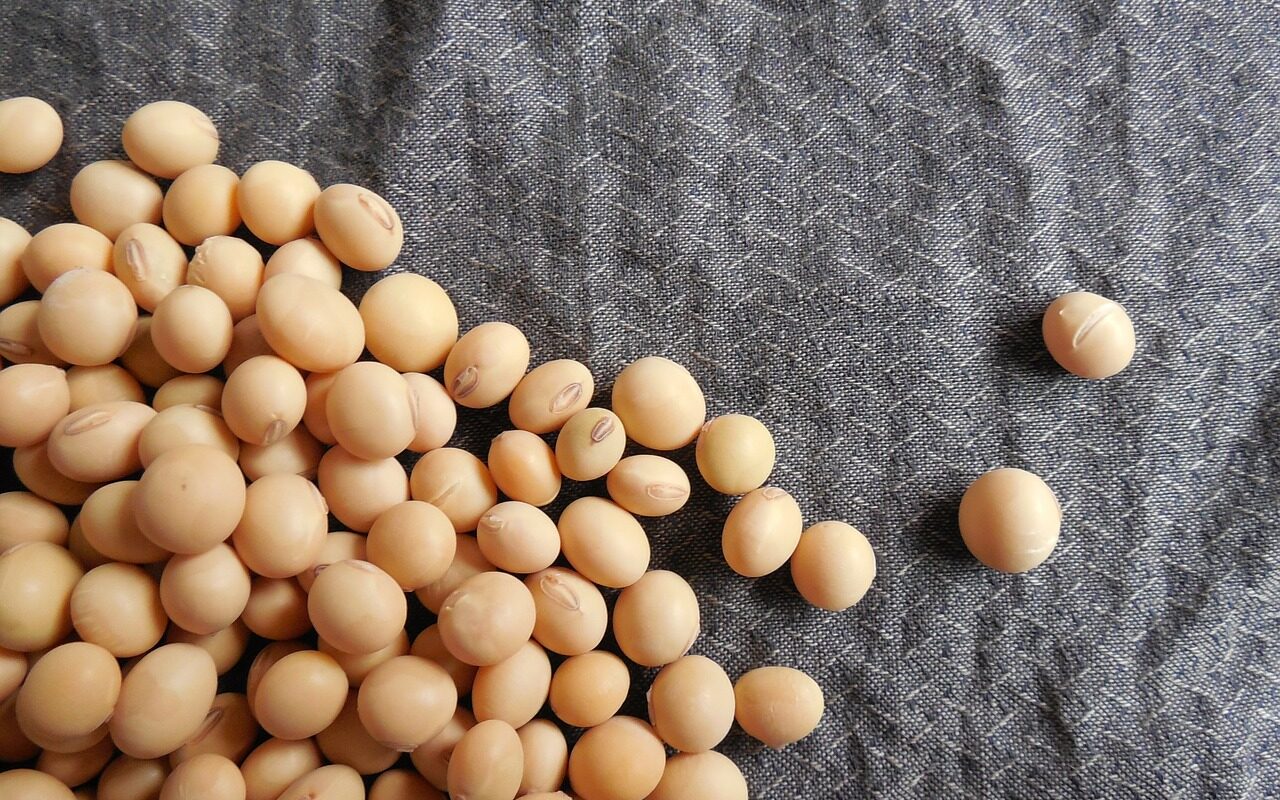 Soybeans Beans Soy Food Grains  - Jing / Pixabay